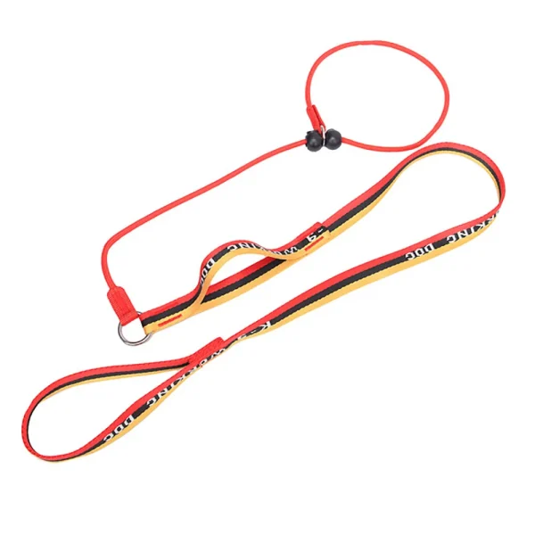 No-Pull Slip Leash and Collar