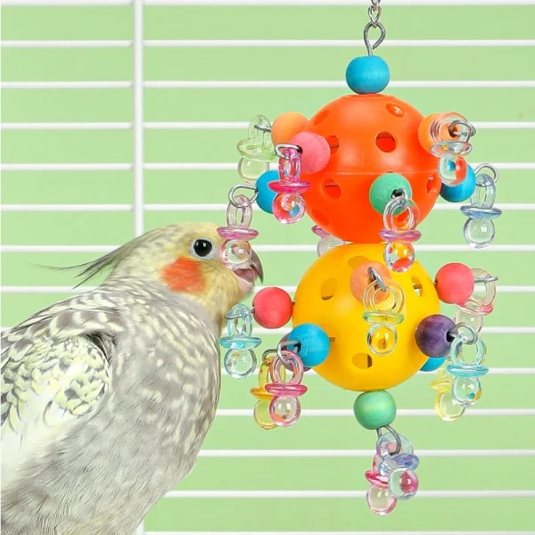 Bird Hanging Chew Cage Swing