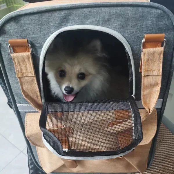 Ventilated Dog bed Backpack
