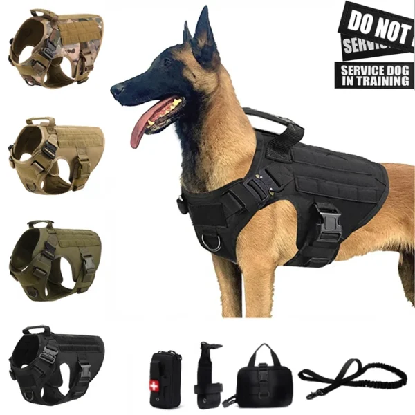Military Training Vest, Harness, and Leash
