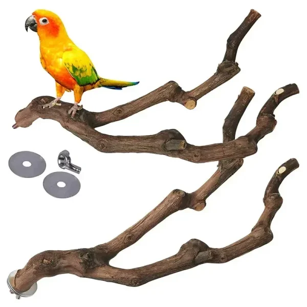 Pet Standing Stick for Parrot Cockatiel Parakeet