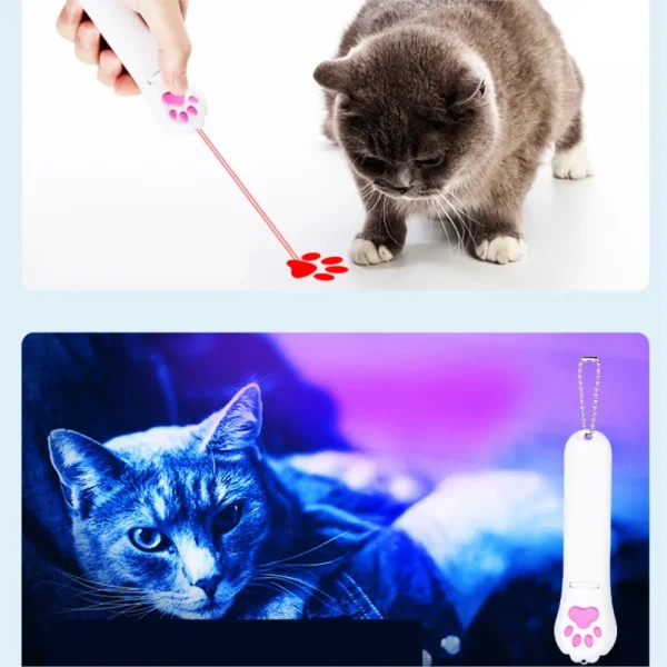 Rechargeable Tease the Cat Flashlight  UV  Red Light